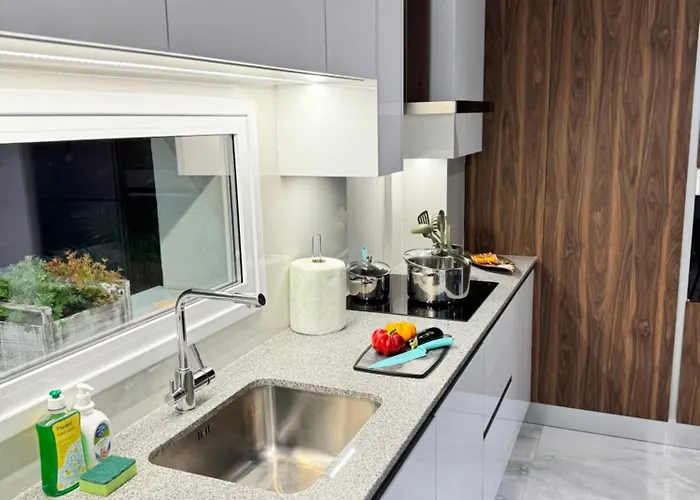 Protaras Rustic Paradise Luxury 1 * 帕拉利米尼