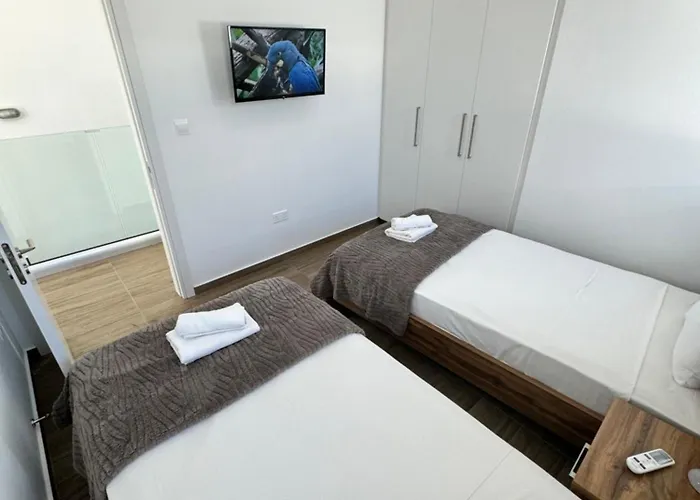 Protaras Rustic Paradise Luxury 1 别墅